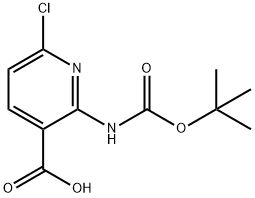 2-Boc-amino-6-chloro-nicotinic acid 구조식 이미지