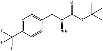 (S)-4-(Trifluoromethyl)phenylalanine tert-butyl ester 구조식 이미지