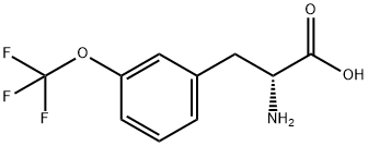 3-(Trifluoromethoxy)-D-phenylalanine Structure