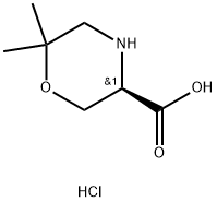 (R)-6,6-Dimethyl-morpholine-3-carboxylic acid hydrochloride 구조식 이미지