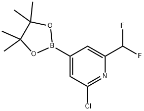 2-chloro-4-(4,4,5,5-tetramethyl-1,3,2-dioxaborolan-2-yl)-6-(difluoromethyl)pyridine 구조식 이미지