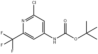 tert-부틸(2-클로로-6-(트리플루오로메틸)피리딘-4-일)카르바메이트 구조식 이미지