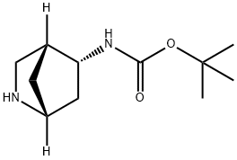1R,4R,5R-(2-Aza-bicyclo[2.2.1]hept-5-yl)-carbamic acid tert-butyl ester 구조식 이미지