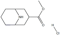 Methyl 9-azabicyclo[3.3.1]nonane-3-carboxylate hydrochloride Structure