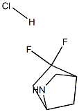 5,5-Difluoro-2-Aza-Bicyclo[2.2.1]Heptane Hydrochloride Structure