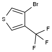 3-bromo-4-(trifluoromethyl)thiophene 구조식 이미지