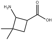2-amino-3,3-dimethylcyclobutane-1-carboxylic acid Structure