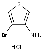 4-bromothiophen-3-amine hydrochloride 구조식 이미지