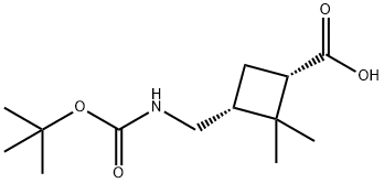 3-(Tert-Butoxycarbonylamino-Methyl)-2,2-Dimethyl-Cyclobutanecarboxylic Acid 구조식 이미지