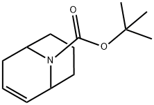 tert-butyl 9-azabicyclo[3.3.1]non-2-ene-9-carboxylate Structure