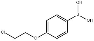 4-(2-Chloroethoxy)phenylboronic acid 구조식 이미지