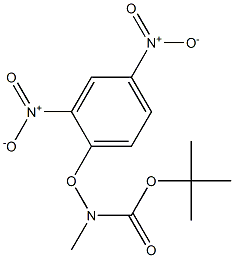 tert-butyl 2,4-dinitrophenoxy(methyl)carbamate Structure