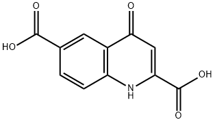 4-Oxo-1,4-dihydro-quinoline-2,6-dicarboxylic acid Structure