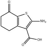 2-amino-7-oxo-4,5,6,7-tetrahydro-1-benzothiophene-3-carboxylic acid Structure