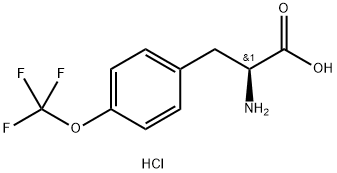 (S)-2-아미노-3-(4-(트리플루오로메톡시)페닐)프로판산염산염 구조식 이미지