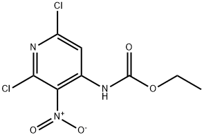 N-(2,6-Dichloro-3-nitro-4-pyridinyl) carbamic acid ethyl ester 구조식 이미지