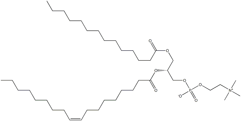 1-myristoyl-2-oleoyl -sn-glycero-3-phosphocholine 구조식 이미지