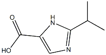 2-isopropyl-1H-imidazole-5-carboxylic acid 구조식 이미지