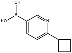 (6-cyclobutylpyridin-3-yl)boronic acid Structure