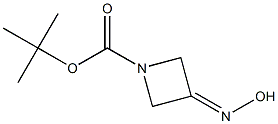 1-Boc-3-(Hydroxyimino)azetidine 구조식 이미지