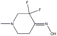 3,3-Difluoro-1-methyl-piperidin-4-one oxime 구조식 이미지