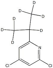 2,4-Dichloro-6-(iso-propyl-d7)-pyridine 구조식 이미지