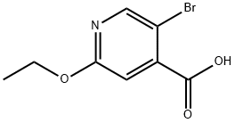 5-bromo-2-ethoxyisonicotinic acid Structure