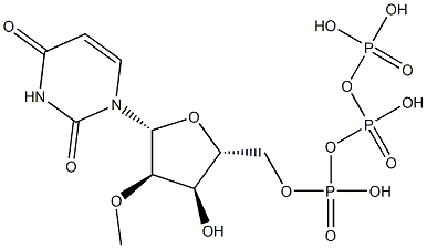 5'-(tetrahydrogen triphosphate), 2'-O-methyl-Uridine 구조식 이미지
