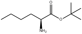 L-Norleucine tert-butyl ester Structure