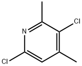 3,6-dichloro-2,4-dimethylpyridine Structure