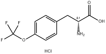 (R)-2-Amino-3-(4-(trifluoromethoxy)phenyl)propanoic acid hydrochloride Structure