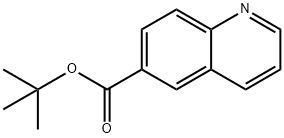 tert-butyl quinoline-6-carboxylate Structure