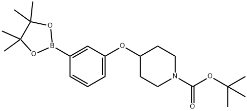 3-(N-BOC-피페리딘-4-일옥시)페닐보론산피나콜에스테르 구조식 이미지