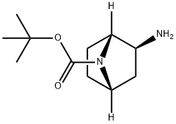 tert-Butyl (1R,2S,4S)-2-amino-7-azabicyclo[2.2.1]heptane-7-carboxylic acid 구조식 이미지