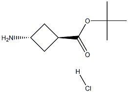 tert-butyl trans-3-aminocyclobutane-1-carboxylate hydrochloride Structure