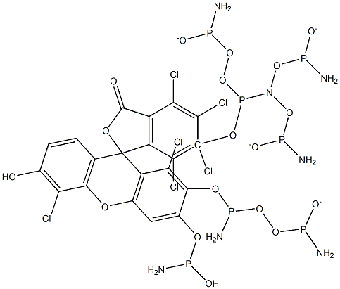 6-HEX phosphoramidite [5'-Hexachlorofluorescein phosphoramidite] Structure