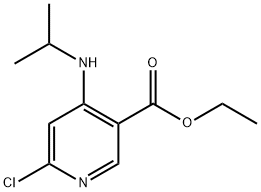 에틸6-클로로-4-(이소프로필아미노)니코티네이트 구조식 이미지