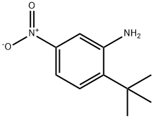 2-tert-Butyl-5-nitro-phenylamine 구조식 이미지