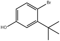 4-bromo-3-t-butylphenol Structure