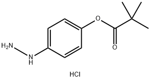 4-Hydrazinylphenyl pivalate hydrochloride 구조식 이미지
