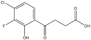 4-(4-Chloro-3-fluoro-2-hydroxyphenyl)-4-oxobutanoic acid 구조식 이미지