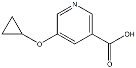 5-cyclopropoxynicotinic acid Structure