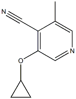 3-cyclopropoxy-5-methylisonicotinonitrile 구조식 이미지