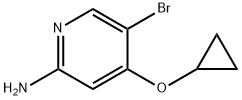 5-bromo-4-cyclopropoxypyridin-2-amine 구조식 이미지