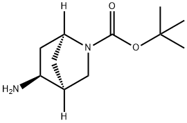 (1S,4S,5S)-Tert-Butyl 5-Amino-2-Azabicyclo[2.2.1]Heptane-2-Carboxylate 구조식 이미지