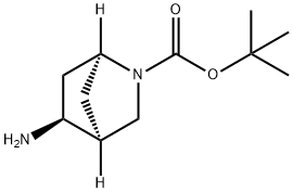 (1S,4S,5S)-Tert-Butyl 5-Amino-2-Azabicyclo[2.2.1]Heptane-2-Carboxylate Structure