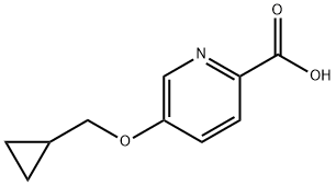 5-(cyclopropylmethoxy)-2-Pyridinecarboxylic acid 구조식 이미지
