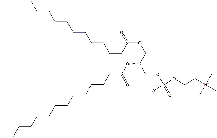 127702-66-3 1-lauroyl-2-myristoyl -sn-glycero-3-phosphocholine