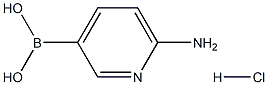 (6-Aminopyridin-3-yl)boronic acid hydrochloride Structure