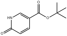 6-Hydroxy-nicotinic acid tert-butyl ester 구조식 이미지